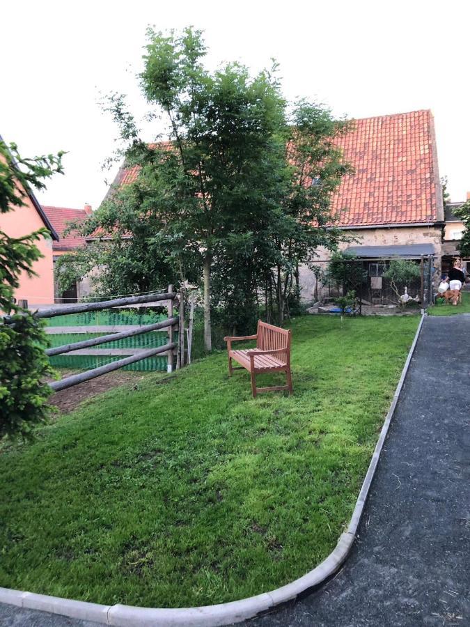 Ferienwohnung Gans Auguste Dohna 外观 照片