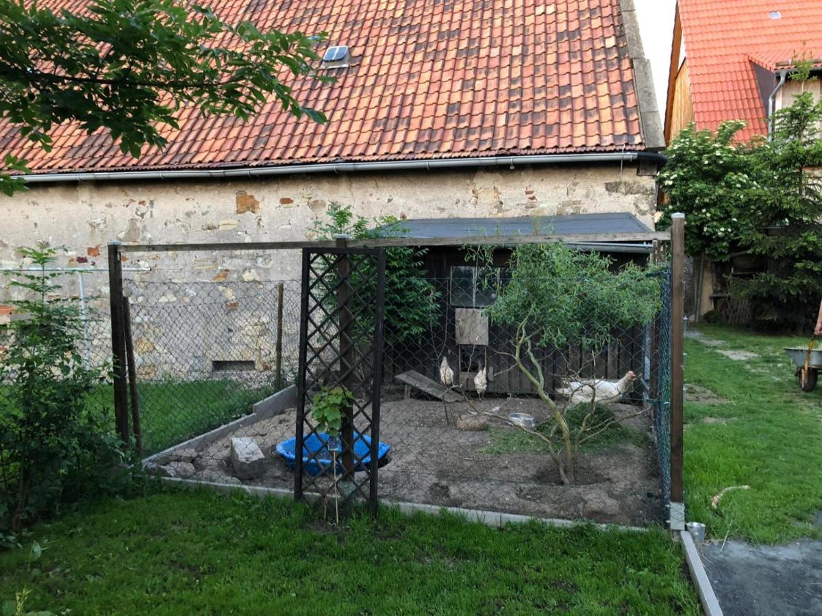 Ferienwohnung Gans Auguste Dohna 外观 照片